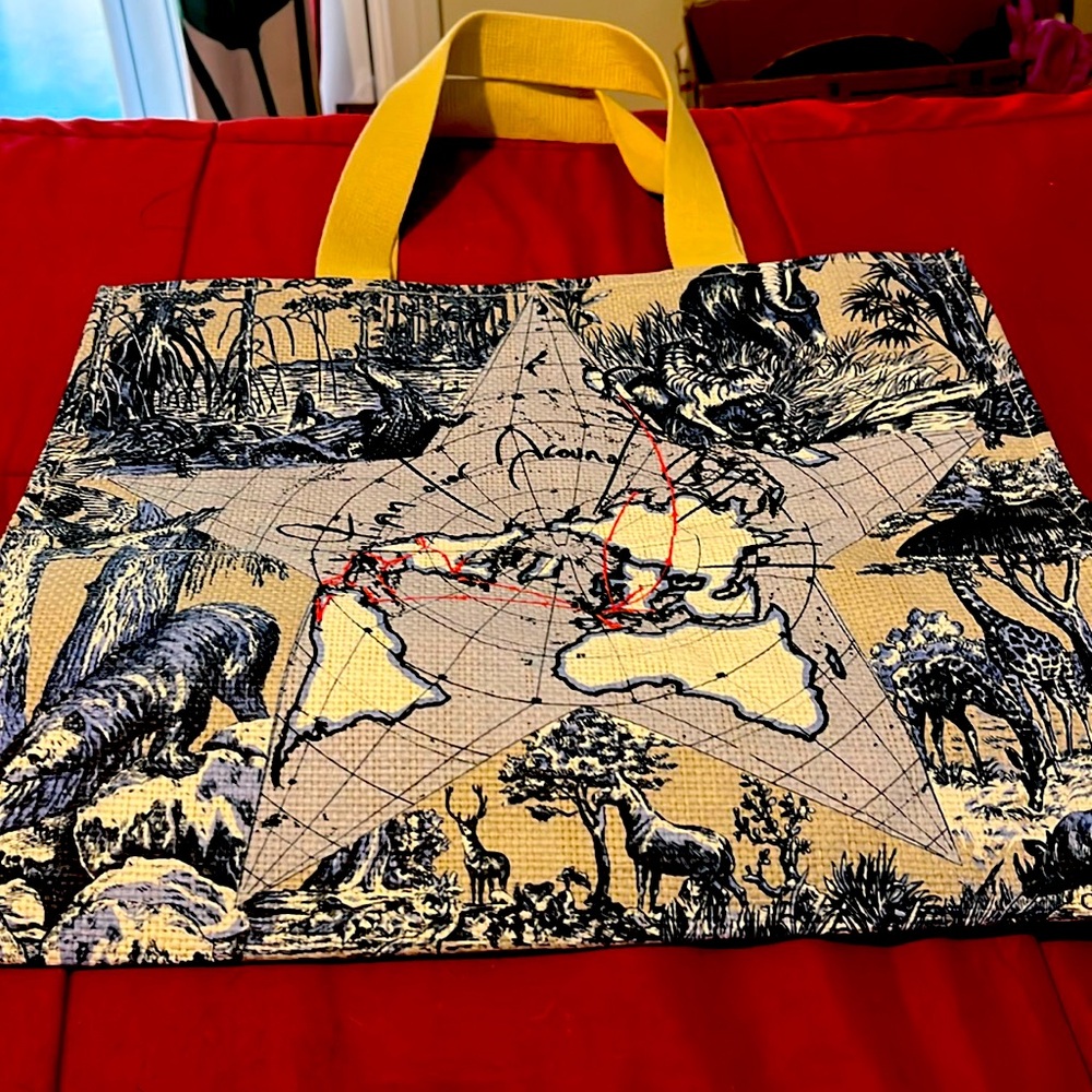 🔥DIOR•Dior Around The World VIP Straw Tote Bag NWOT